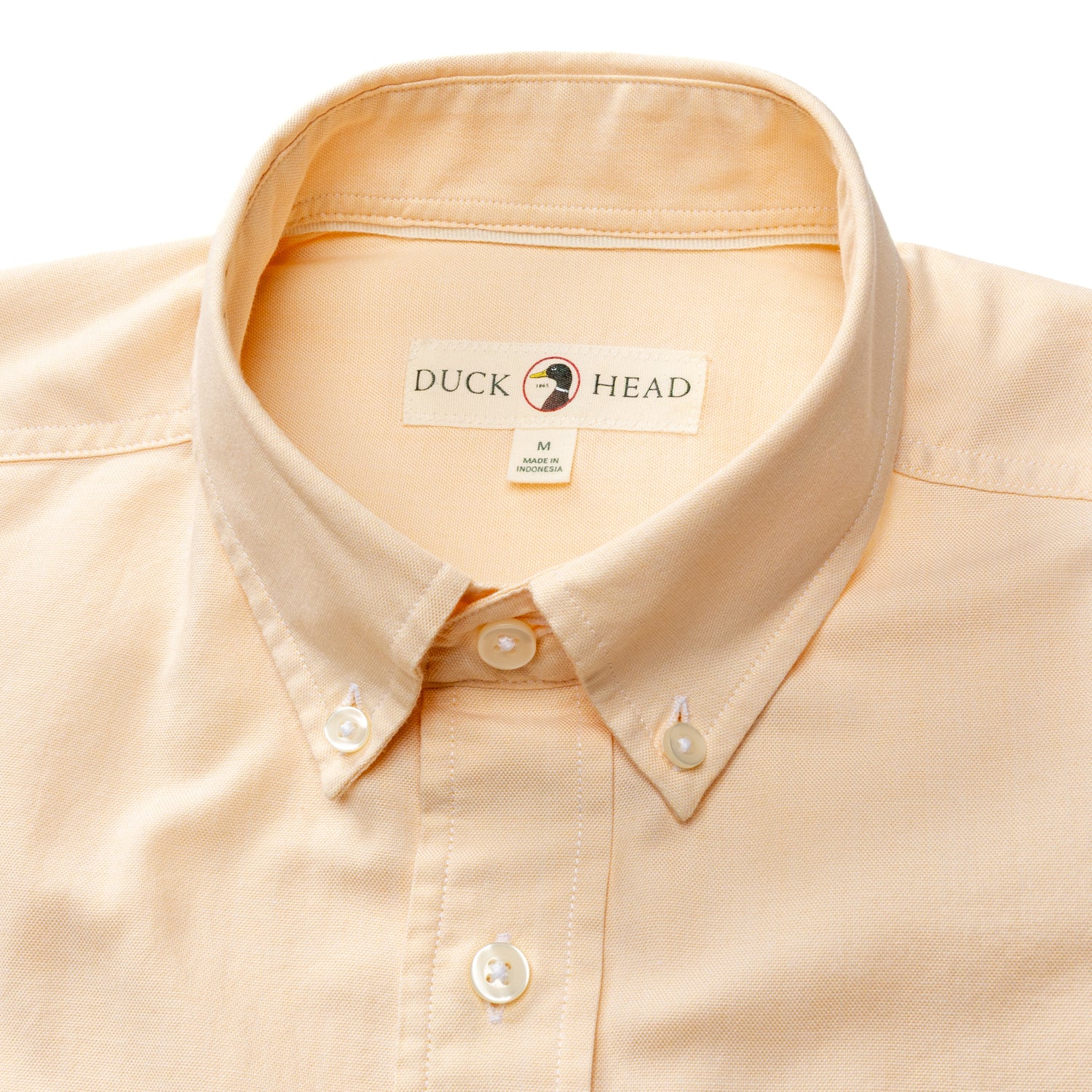 Cotton Oxford Sport Shirt - Morris Solid - Yellow - Image 3